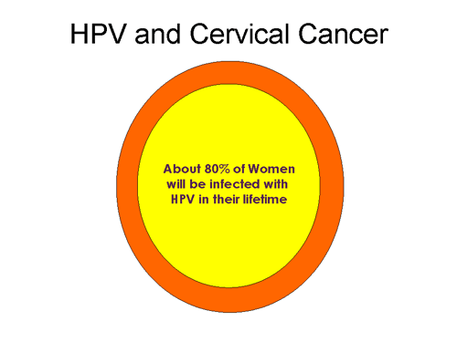 HPV and Cervical Cancer - About 80% of Women will be infected with HPV in their lifetime.