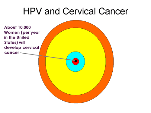 HPV and Cervical Cancer - About 10,000 Women (per year in the United States) will develop cervical cancer.